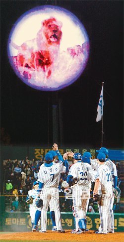 삼성은 올해 5월 7위까지 처졌지만 7월 8일부터 선두를 질주하고 있다. 삼성은 지난해에 이어 한국시리즈 우승을 노리고 있다. 사진은 지난해 SK와의 한국시리즈 2차전 승리 후 외야 관중석 위에 설치한 대형 LED 스크린에 미리 제작된 ‘사자 달’ 형상이 떠 있는 가운데 기쁨을 나누고 있는 삼성 선수들. 동아일보DB