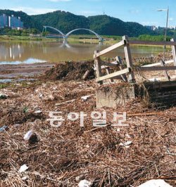 태화강 둔치에 쌓인 쓰레기. 17일 울산을 지나간 태풍 산바의 영향으로 상류에서 떠내려 왔다. 정재락 기자 raks@donga.com