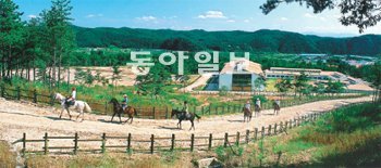 경북 영천이 경마공원 조성 사업을 통해 말산업 중심지로 뜨고 있다. 승마 동호인들이 임고면 운주산 야외승마장에서 말을 타고 있다. 영천시 제공