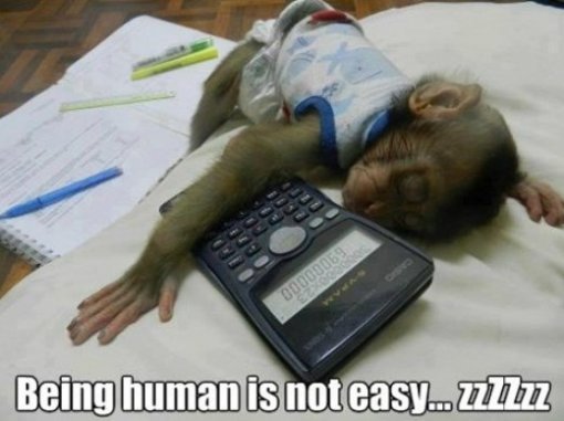 출처= 커뮤니티 게시판