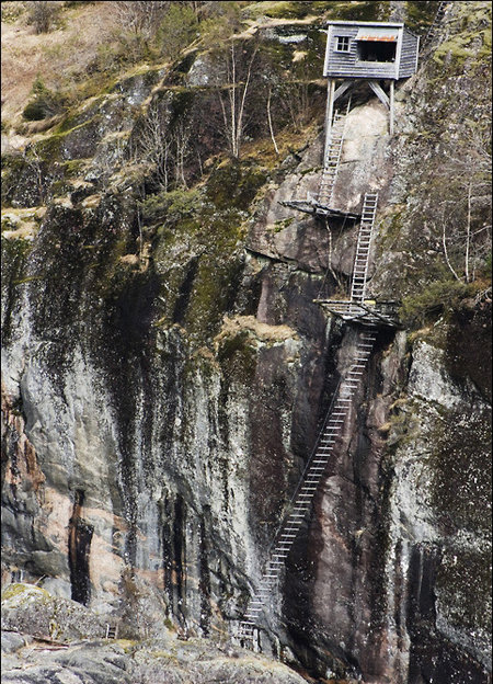 출처= 커뮤니티 게시판