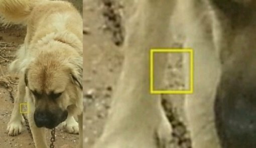 얼굴인식 끝판왕.