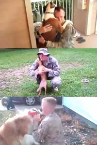 군인과 개의 인사법. 영상캡쳐.