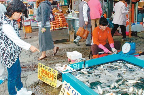 제철 전어 싸게 드려요 9일 소래포구 어시장을 찾은 한 주부가 요즘 제철을 맞은 전어를 고르고 있다. 이날 전어 1kg은 1만5000원에 판매됐다. 김영국 동아닷컴 객원기자 press82@donga.com