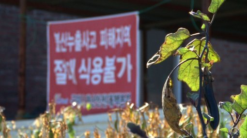 경북 구미 불산 누출 사고 현장을 담은 ‘관찰카메라 24시간’의 한 장면. 사진제공｜채널A