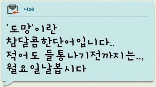 출처= 커뮤니티 게시판