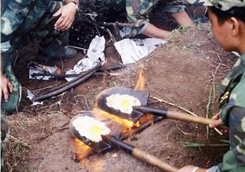 출처= 커뮤니티 게시판