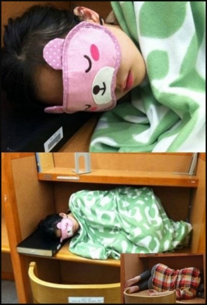 ‘도서관에서 졸렸던 여자’ 사진=인터넷 커뮤니티