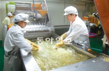 전남 순천 선혜학교 전공과 학생들이 학교기업 ‘다온’에서 친환경 콩나물을 생산하고 있다. 순천 선혜학교 제공