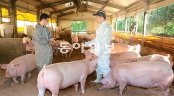 문주석 이마트 축산담당 바이어(오른쪽)가 16일 경기 안성시 일죽면 화봉리 국제축산 농장에서 저열량 사료를 먹여 키운 돼지의 발육 상태를 살펴보고 있다. 이마트 제공