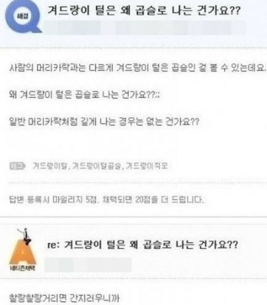‘겨드랑이 털의 비밀’ 사진=인터넷 커뮤니티
