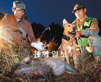 맹수를 만나도 피하지 않는 사냥꾼처럼 우리 역시 인생의 풍랑을 피하지 말아야 한다.