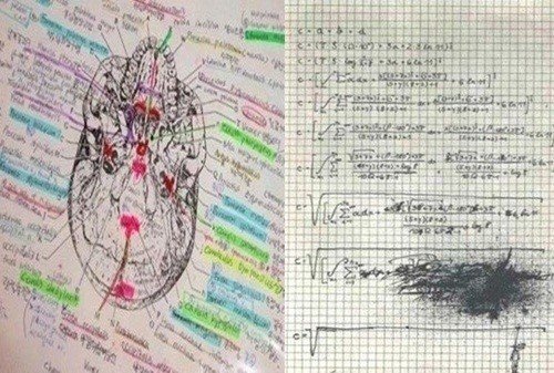 출처= 커뮤니티 게시판