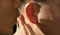 위 사진은 해당 기사와 관련 없음