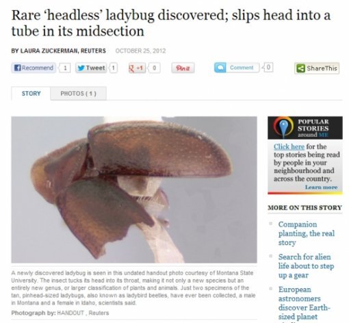 출처= 라이브사이언스