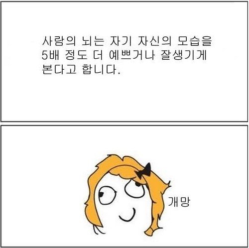 내가 예뻤던 이유 (출처= 커뮤니티 게시판)