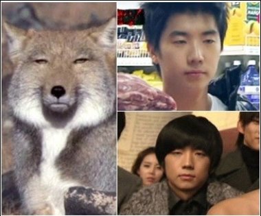 출처= 커뮤니티 게시판