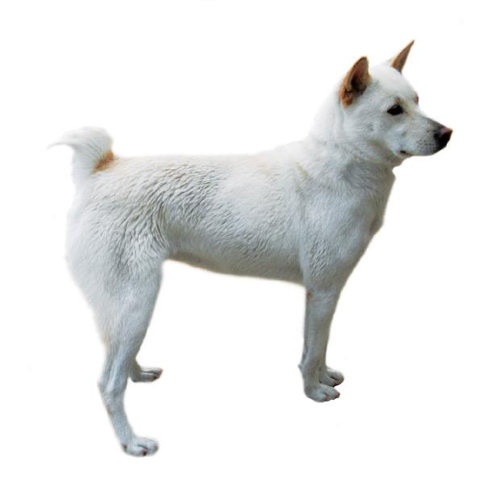 출처= 문화재청