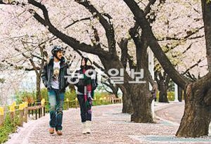태국영화 ‘헬로 스트레인저’에서 서울 여행을 왔다 사랑에 빠지게 된 두 태국 남녀가 여의도 윤중로를 걸으며 데이트를 즐기고 있다. 서울시 제공