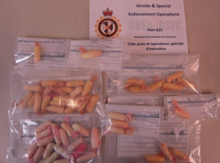 [사진 : 캐나다 출입국관리소 제공]