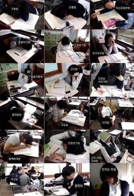 출처= 커뮤니티 게시판