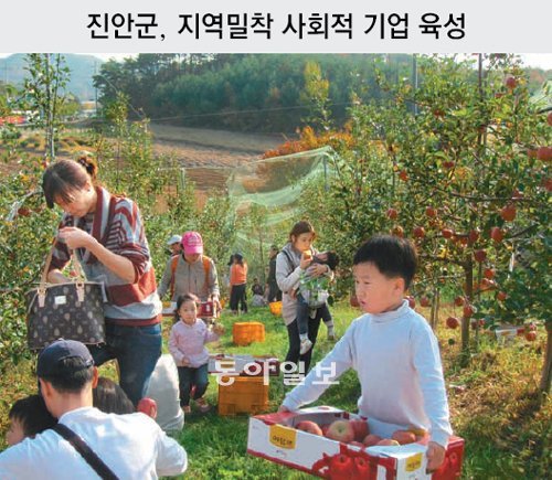 전북 진안군은 고유 자원을 활용한 마을기업, 사회적 기업 육성 등의 노력으로 올해 지역경제력, 주민활력지수 부문에서 순위가 크게 
상승했다. 주민, 지자체뿐 아니라 농협도 지역 경제 활성화를 위해 힘을 보태고 있다. 농협과 진안군이 올해 본격 출시가 시작된 
진안사과 홍보를 위해 마련한 도시민 초청 사과 따기 체험 행사. 농협은행 제공