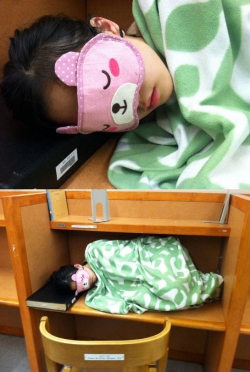 출처= 커뮤니티 게시판