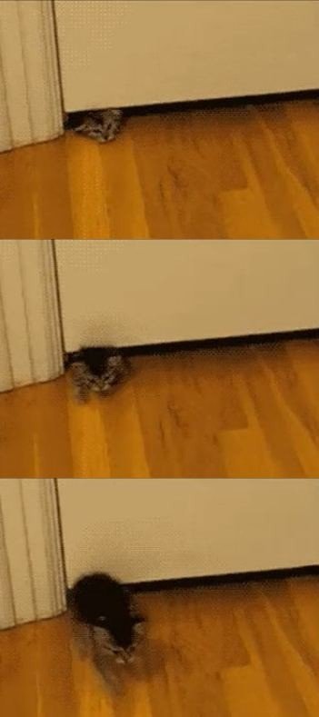 ‘나 날씬하냥’ 영상. 사진 ｜ 유튜브 영상 캡처