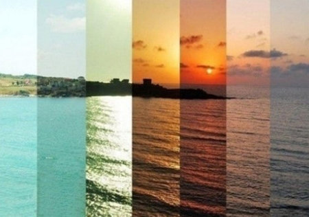 출처= 커뮤니티 게시판