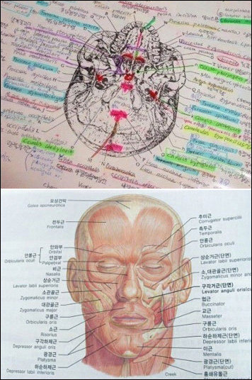 ‘간호학과 학생 현실’(아래)에 이어 ‘치대생의 노트’가 공개돼 눈길을 끌고 있다.