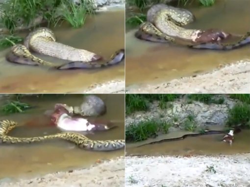 [유튜브 영상 캡처]