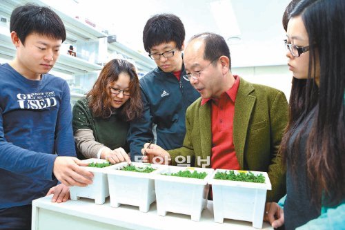 ‘국가과학자’인 남홍길 DGIST 교수(오른쪽에서 두 번째)가 교육과학기술부 기초과학연구단인 식물 노화 수명연구 실험실에서 대학원생들에게 식물 유전자를 설명하고 있다. 대구=이권효 기자 boriam@donga.com