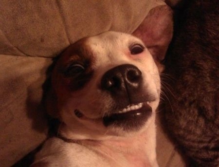 출처= 커뮤니티 게시판