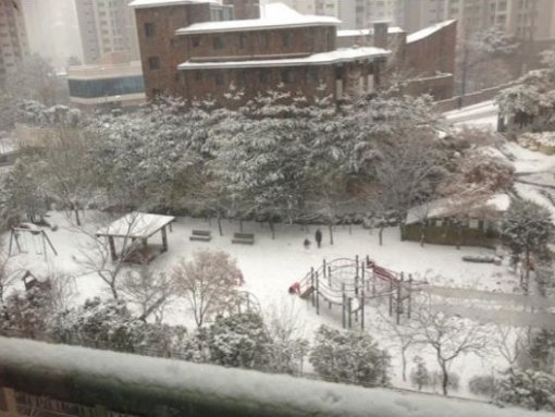 눈 많이 왔네 (사진= 도깨비뉴스 독자 영부인)