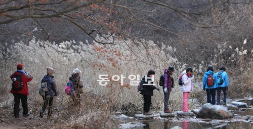 약 40km 길이의 금강소나무길이 조성될 예정인 경북 울진군 서면 소광리 숲길에서 등산객들이 징검다리를 건너고 있다. 산림청 제공
