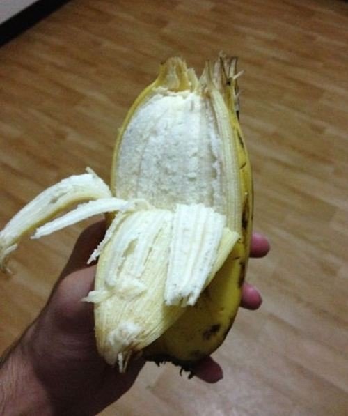 출처= 커뮤니티 게시판