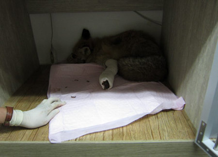 국립공원관리공단 제공