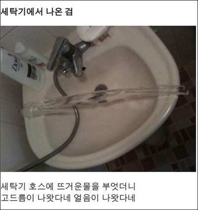 ‘세탁기에서 나온 검’ 사진 화제