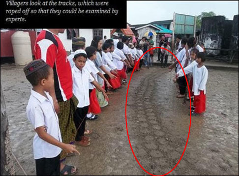 피피섬 바다괴물 흔적