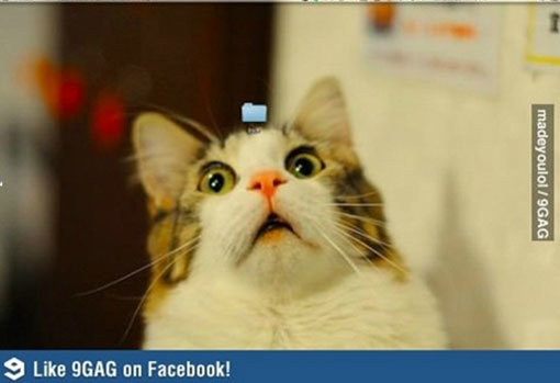 클릭 부르는 새폴더