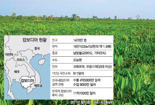 평지가 많고 인건비가 싼 캄보디아는 대규모 농업에 적합하다. 최근 한국 기업들도 조림사업과 큰 규모의 쌀농사에 뛰어들 준비를 갖추고 있다. 사진은 프놈펜에서 북쪽으로 140km가량 떨어진 캄퐁톰에서 BNA가 운영하는 1만 ha 규모의 고무농장. BNA 제공