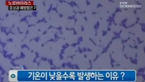 노로 바이러스 주의보 발령