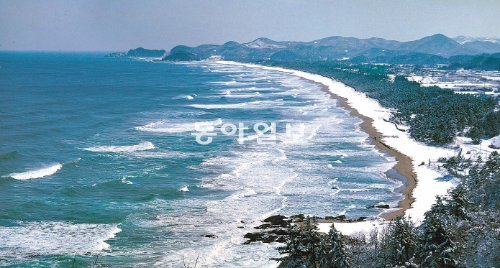 삼척시 근덕면 맹방해변의 겨울 풍경. 영화 ‘봄날은 간다’의 촬영지로도 유명하다. 얕은 수심과 깨끗한 백사장 덕에 여름이면 많은 피서객이 몰리지만 겨울 바다의 정취를 맛보려는 관광객들의 발길도 이어진다. 삼척시 제공