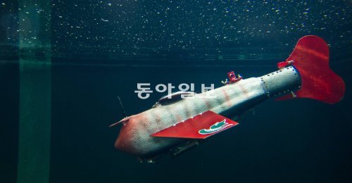 미국 미시간주립대 탄샤오보 교수팀이 제작한 로봇물고기. 이 로봇물고기는 내장된 펌프로 물을 넣었다 뺐다 하며 미끄러지듯 이동하기 때문에 에너지 소비가 적고 움직임이 빠르다. 미시간주립대 제공