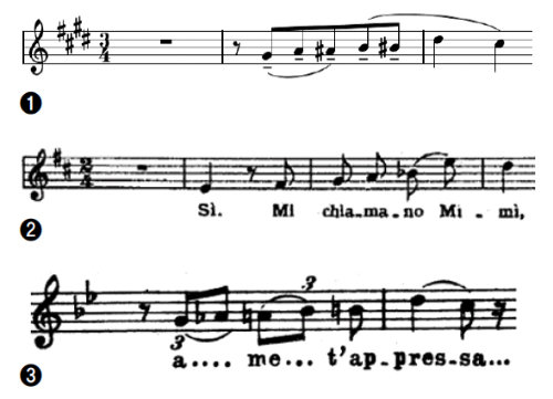 ①현악사중주 ‘국화’ 시작부. ②‘라보엠’에서 미미가 ‘제 이름은 미미인데요’라고 소개하는 장면. ③‘마농레스코’에서 기진한 마농이 ‘내 곁으로 와주오’라고 부탁하는 부분 악보. 세 악보 모두 첫 다섯 음표가 반음계적으로 미끄러지듯 올라간 뒤 두세 음 위로 도약했다가 다시 한 음 떨어진다.