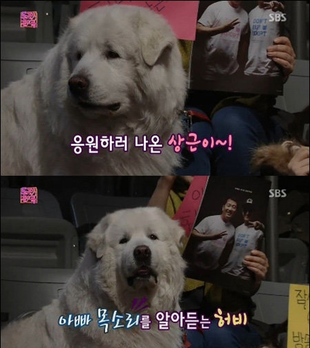 상근이 근황. 방송화면 캡처