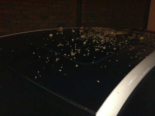 사진= 보배드림