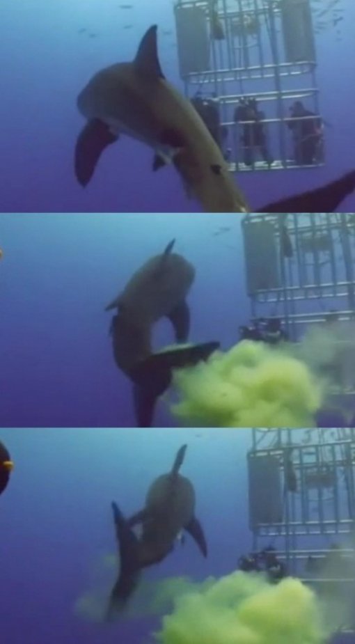 출처= 커뮤니티 게시판