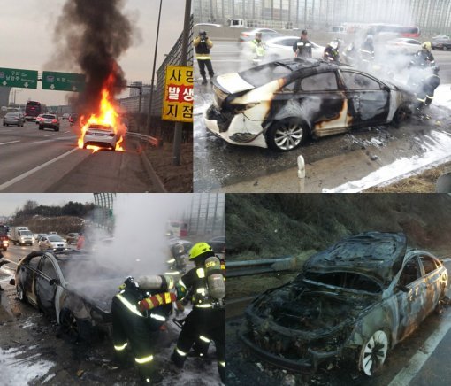 출처= 보배드림