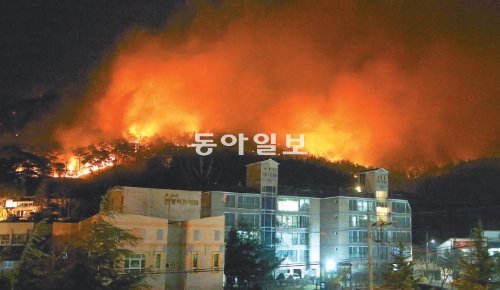 민가 삼킬 듯



10일 오전 2시경 울산 울주군 언양읍 동부리 일대의 대형 산불이 아파트까지 위협하고 있다. 다행히 불은 아파트로 번지지는 않았다. 9일 오후 8시 반경 난 산불은 경주까지 번져 10일 오후 5시가 돼서야 꺼졌다. 울산=양회성 기자 yohan@donga.com